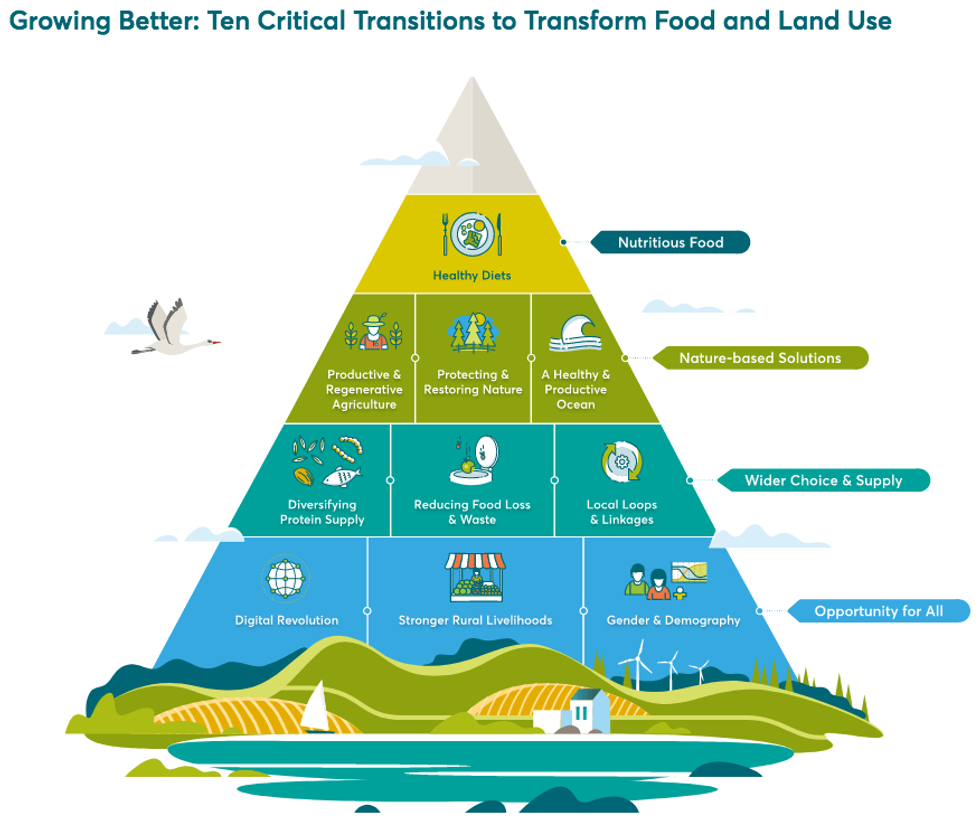 Growing Better pyramid