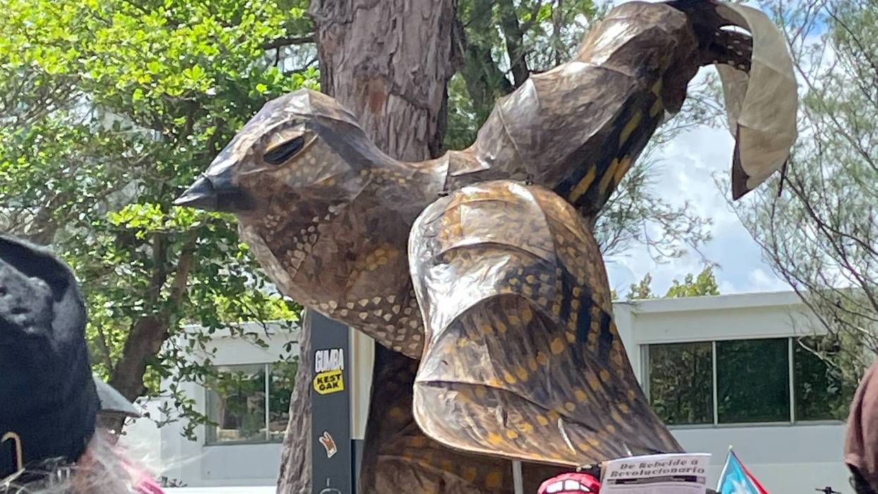 Guabairo model at march.