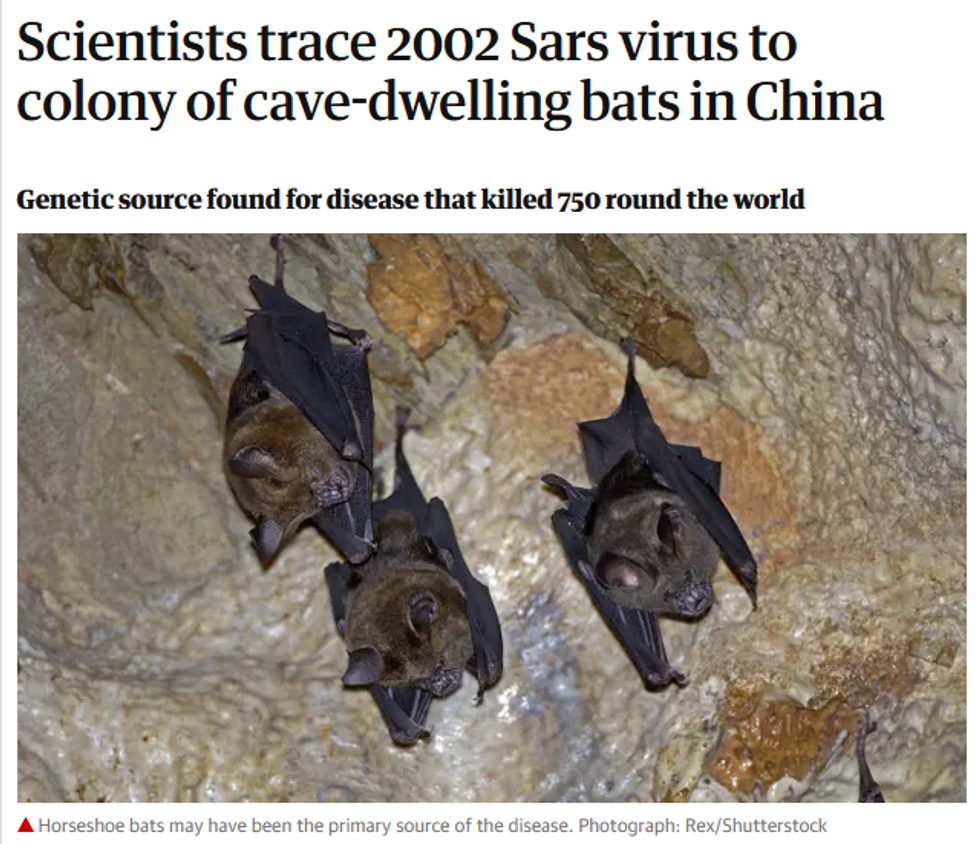 Guardian: Scientists trace 2002 Sars virus to colony of cave-dwelling bats in China