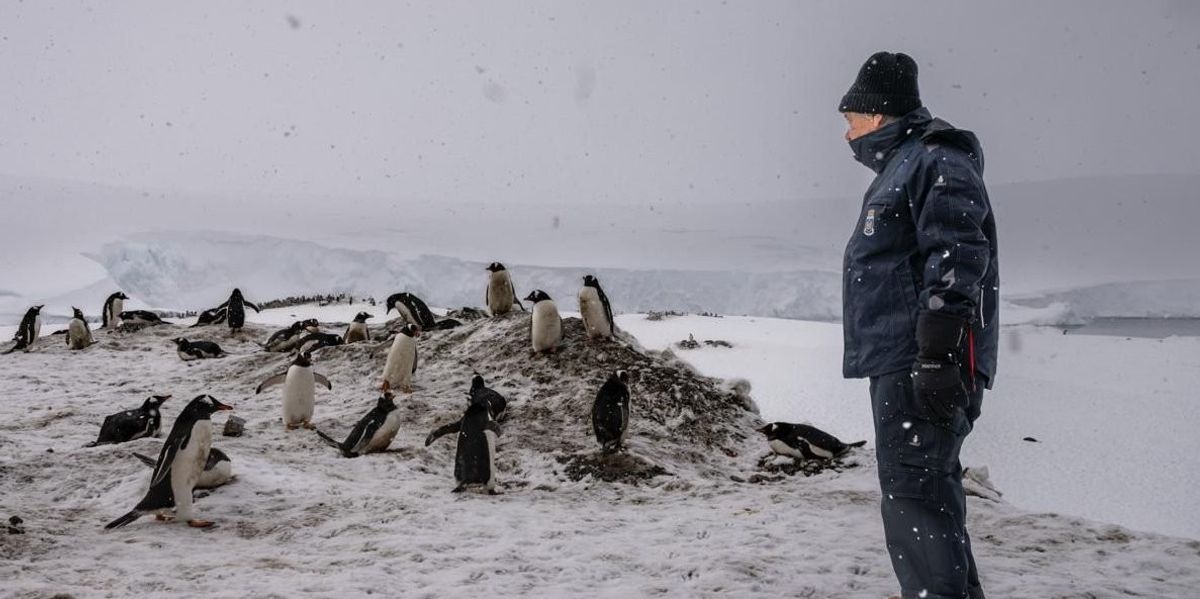 UN Chief Calls Antarctica 'Sleeping Giant... Being Awoken by Climate Chaos'