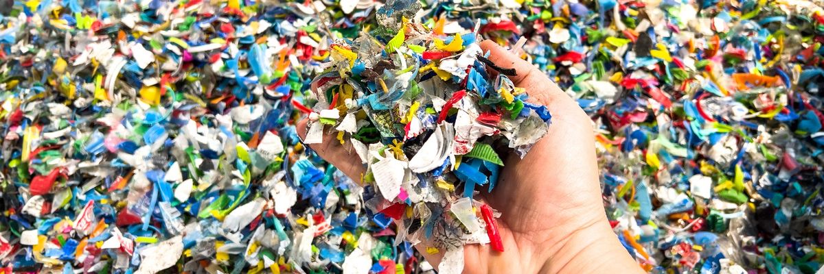 Hand holding Bottle flake,PET bottle flake plastics recycling