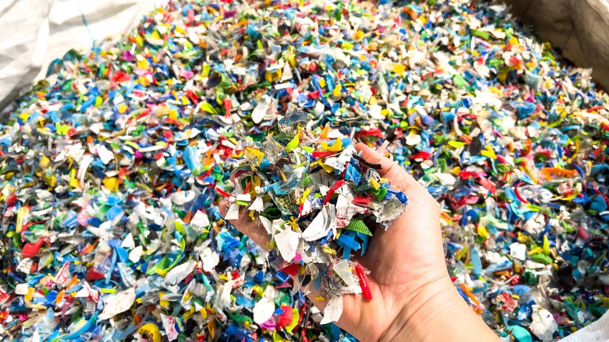 Hand holding Bottle flake,PET bottle flake plastics recycling
