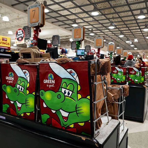 New State Laws Aim to Protect Environment, Consumers as Trump Wages All-Out War on Climate