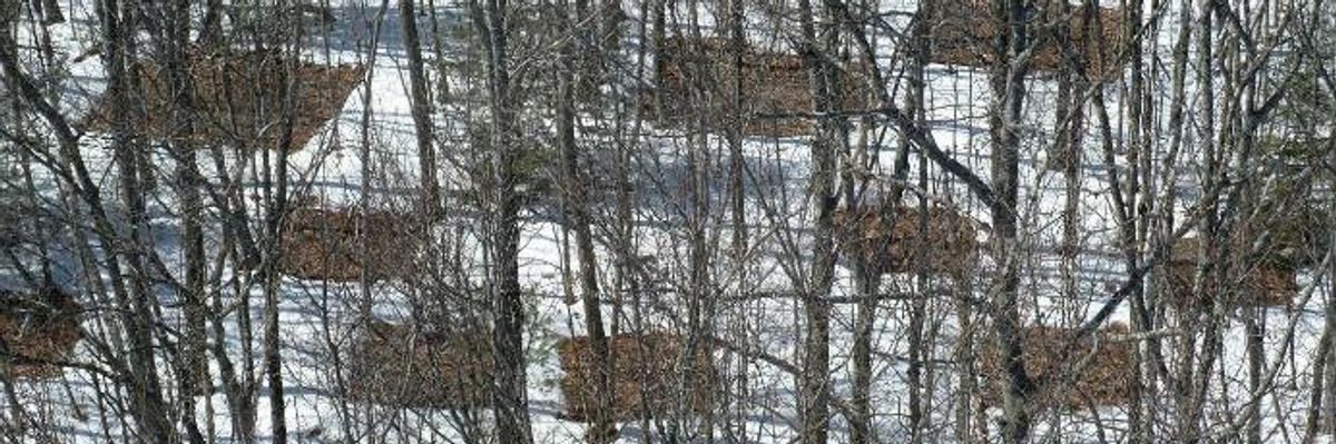 Warming Soils Could Trigger Potentially Unstoppable Climate Feedback Loop: Study