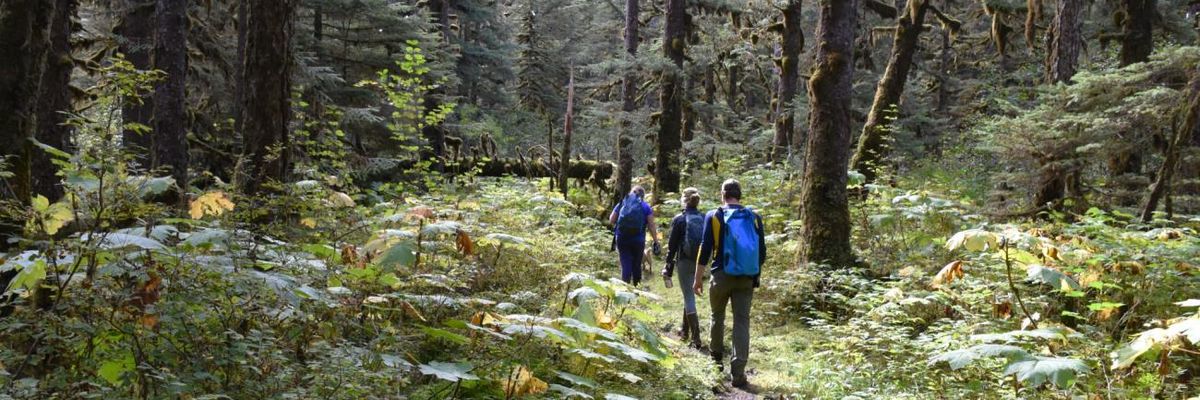 Hikers in Tongass National Forest