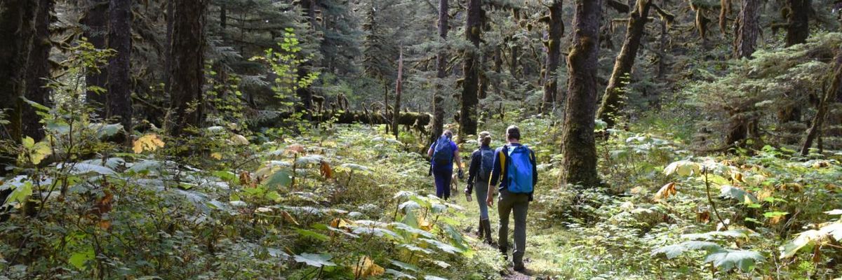 Hikers in Tongass National Forest