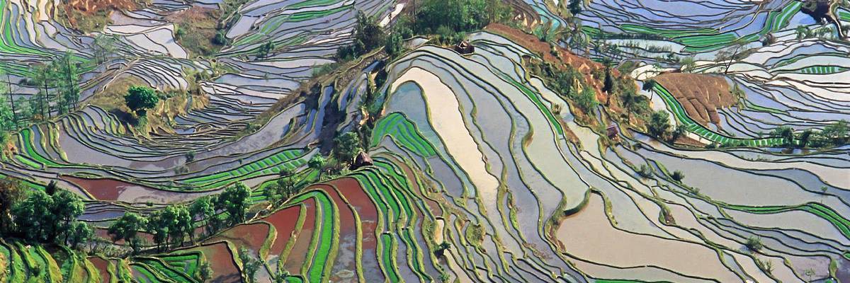 Culture Shift: Redirecting Humanity's Path to a Flourishing Future