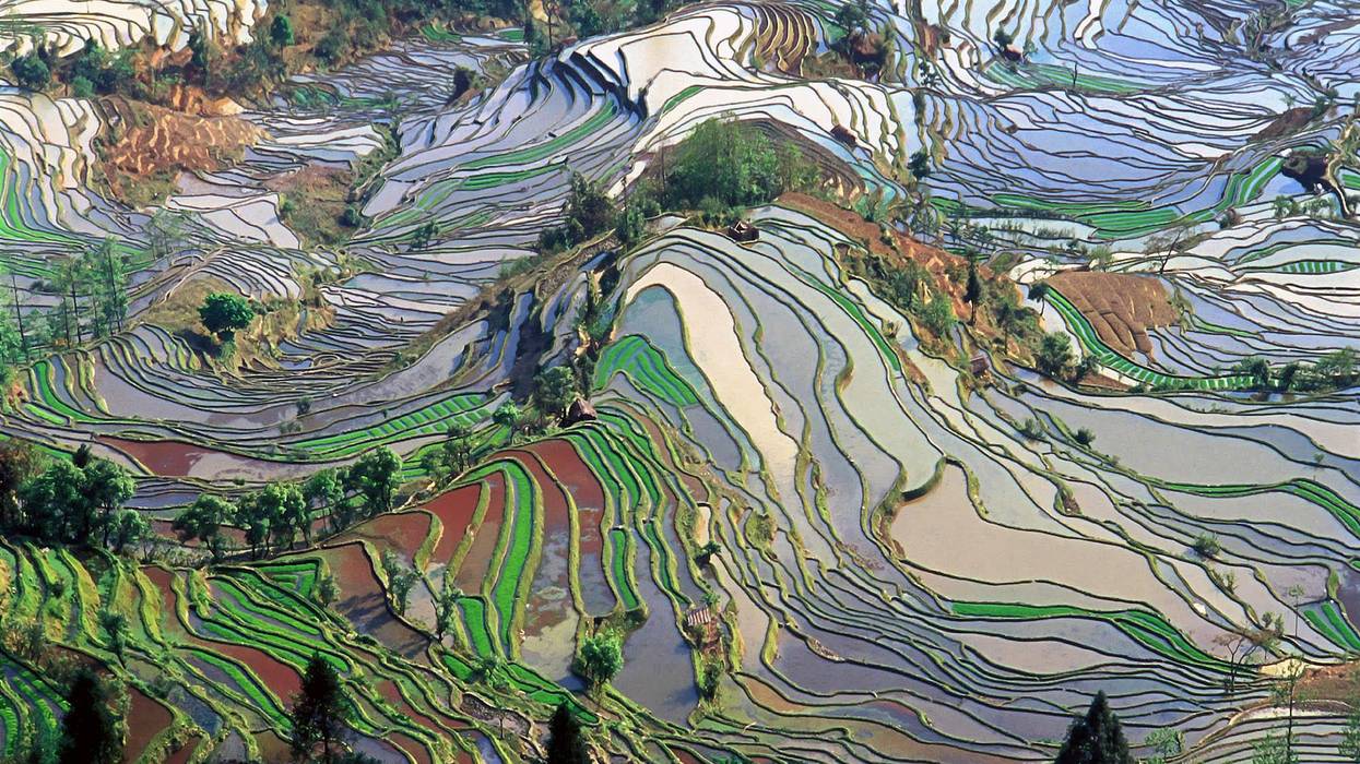 Culture Shift: Redirecting Humanity's Path to a Flourishing Future