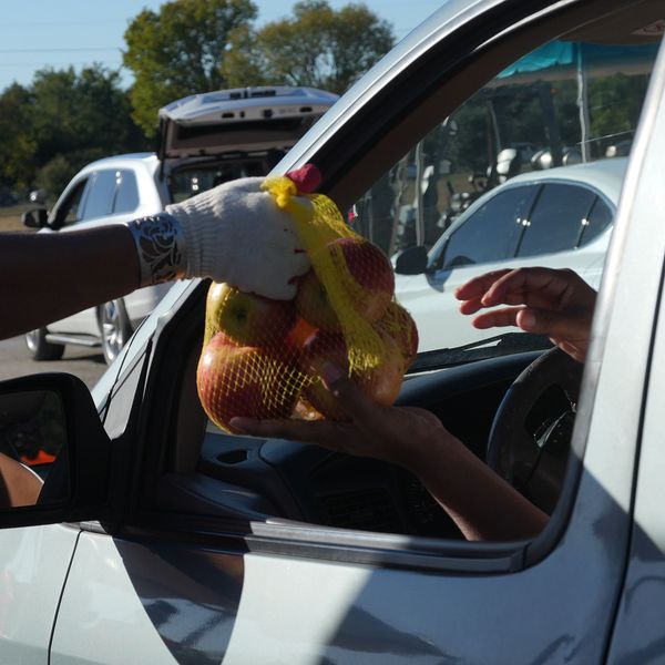 Houston Food bank distribution