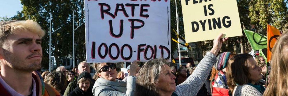 Global Rescue Plan to Stop Mass Extinction 'Hopelessly Weak and Inadequate'