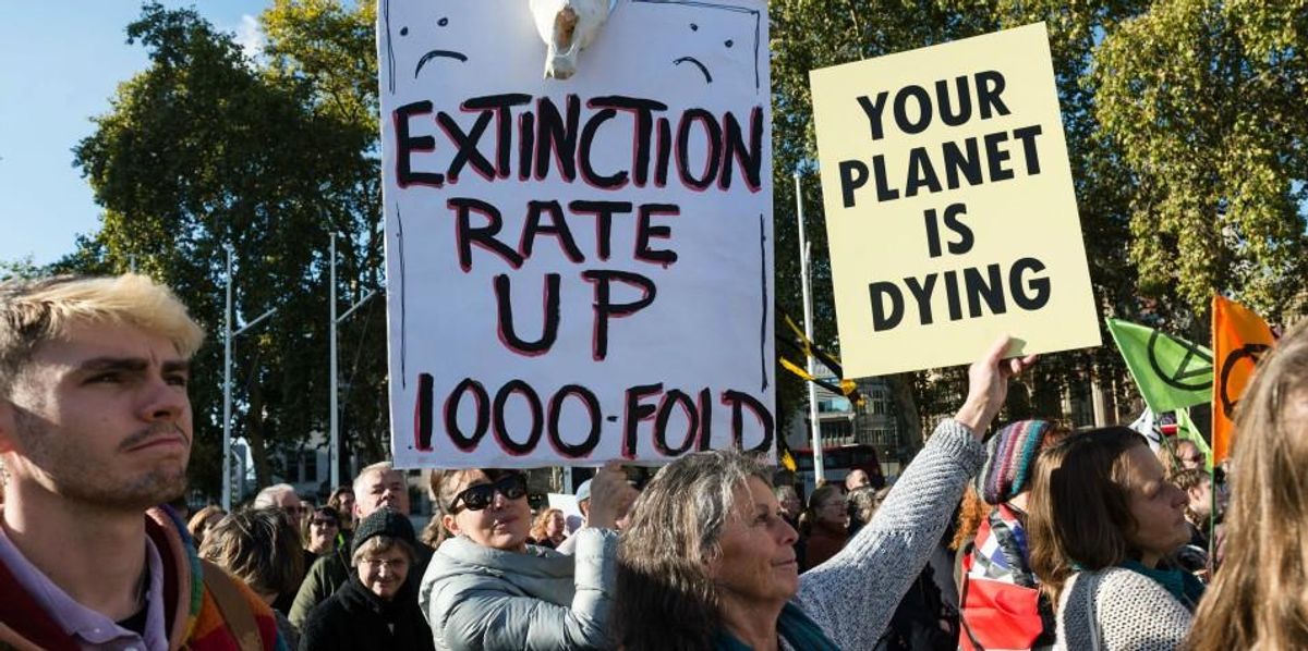 Global Rescue Plan to Stop Mass Extinction 'Hopelessly Weak and ...