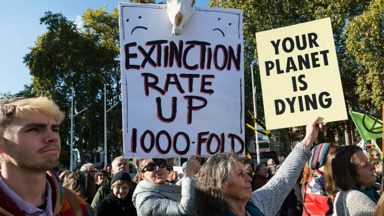 The Extinction Deniers Are Here