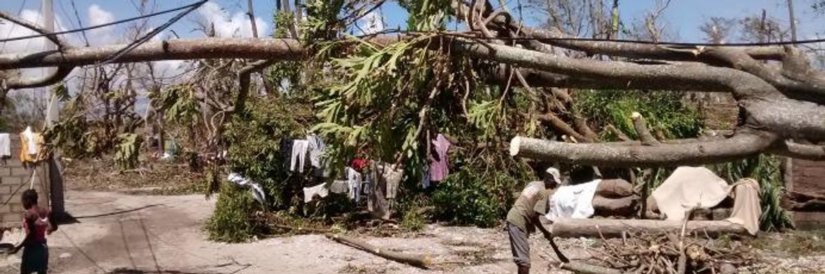 Naomi Klein: Trump's Treatment of Haitians Portends Brutal Future for World's Climate Refugees