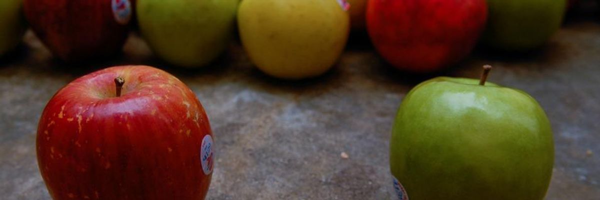 An Apple Lover's GMO Apple Lament