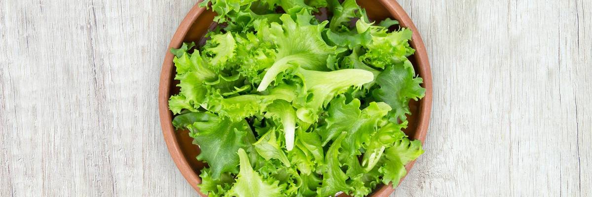 iceberg lettuce in bowl