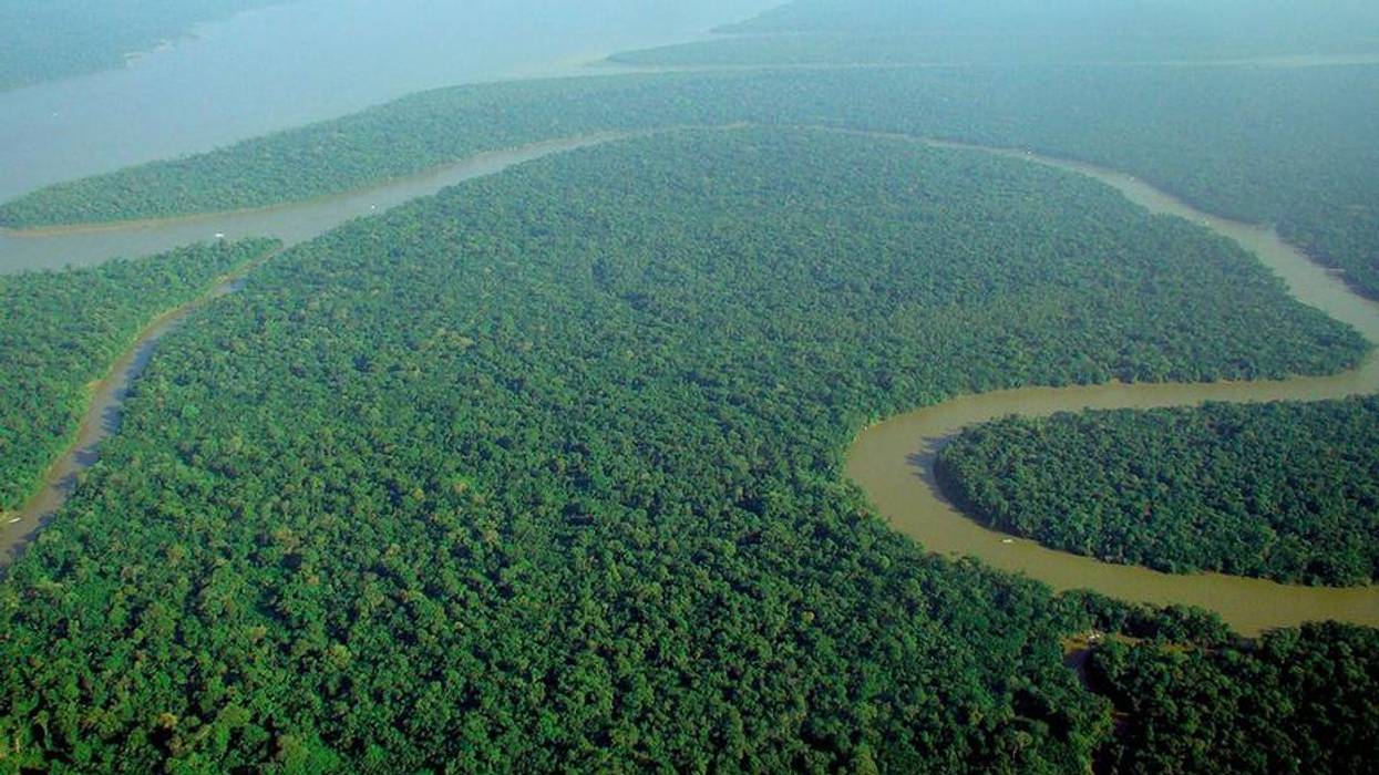 Amazonian Communities Need Solidarity, Not Saviours