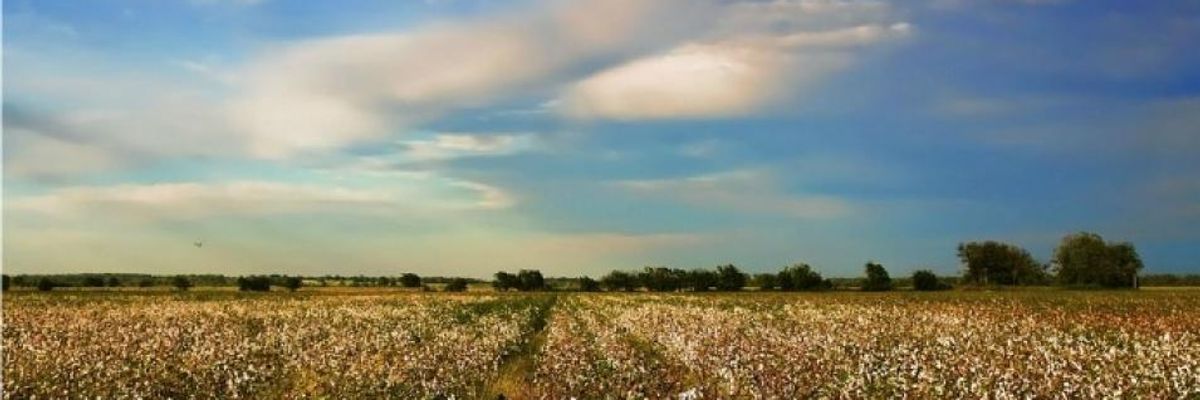 Big Ag Is a Major Obstacle to Combating the Climate Crisis