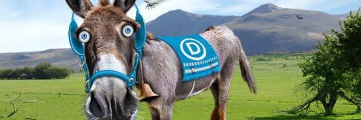 Damaged Democrats: Can They Recover?