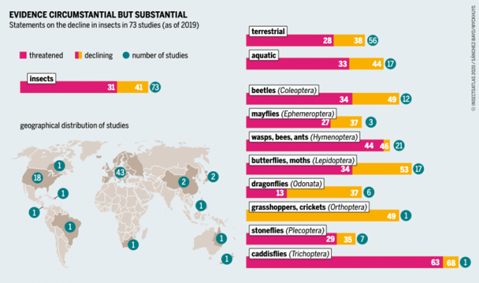 Image from Insect Atlas. (Bartz/Stockmar, CC BY 4.0)
