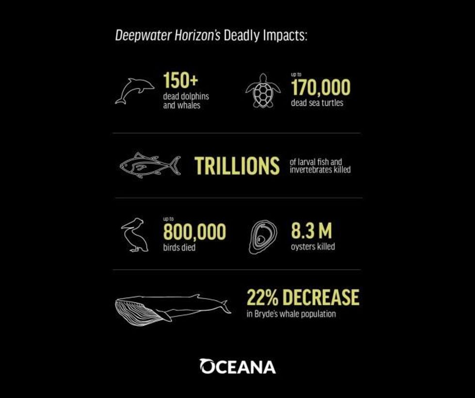 Image from Oceana's new report, Hindsight 2020: Lessons We Cannot Ignore from the BP Disaster.