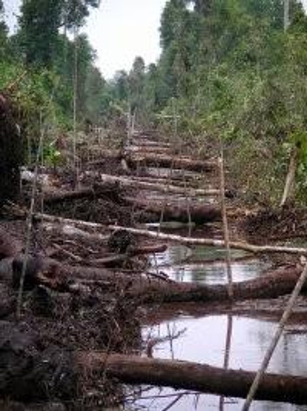 Dirty Biofuels Leaked Data Shows Some Worse Than Fossil Fuels Common