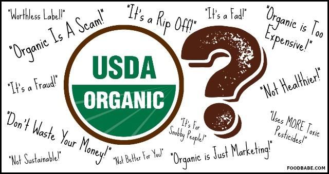 Protect the environment плакат. Природа. Save the environment and eat organic. Защита природы. Save the environment and eat organic.