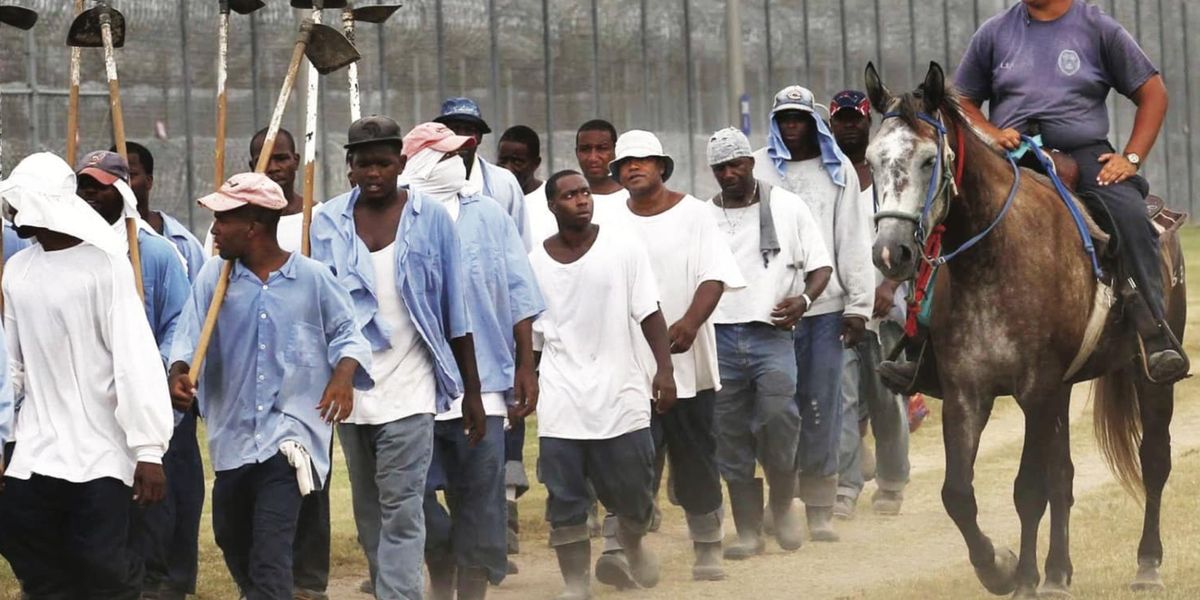 Human Rights Violations In Prisons UN Report Urges End to Forced US Prison Labor—a 'Contemporary Form of ...