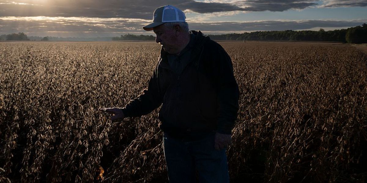 'Misled' and 'Strung Along' by Trump, Financial Pain of Farmers Grows as Costs Continue to Skyrocket | Common Dreams