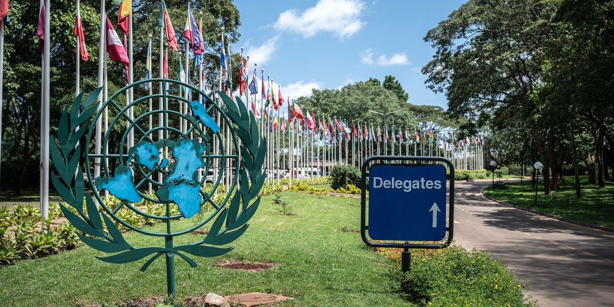 Why the UN Environment Assembly Is Essential to a Safer, More Resilient Planet | Common Dreams