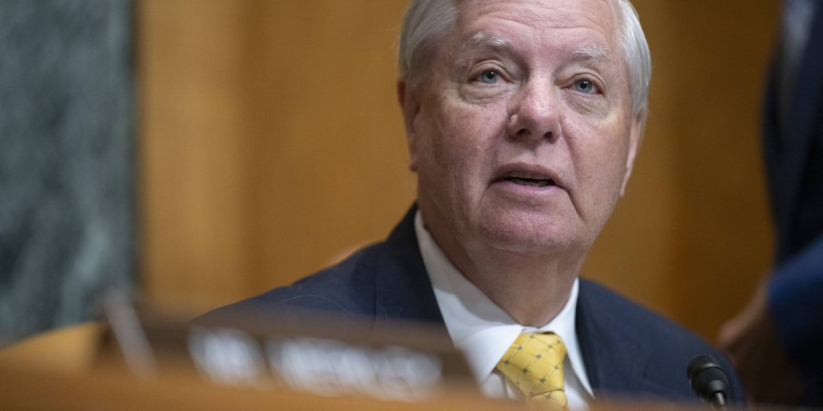 Senate GOP Blasted for Trying to Give Trump's ICE and Border Patrol Another $140 Billion | Common Dreams