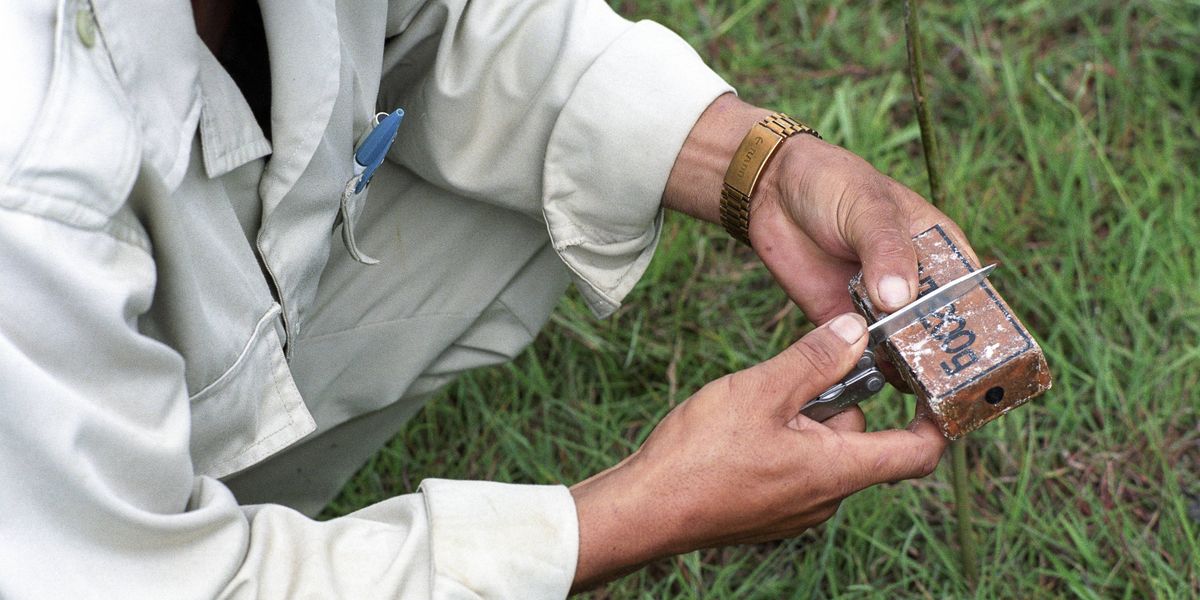 Clearing the Ground Beneath Our Feet: Why Demining Is the Ultimate Environmental Act | Common Dreams