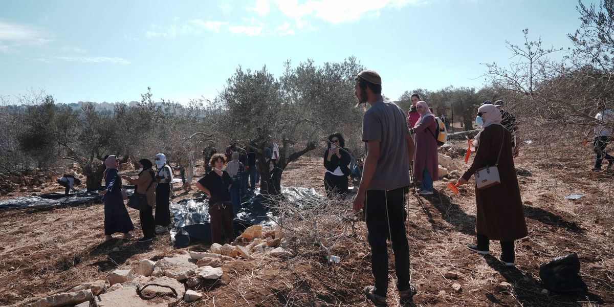 Israel Revokes Entry Permits For Jewish Americans Who Protected Palestinians From Settler Violence