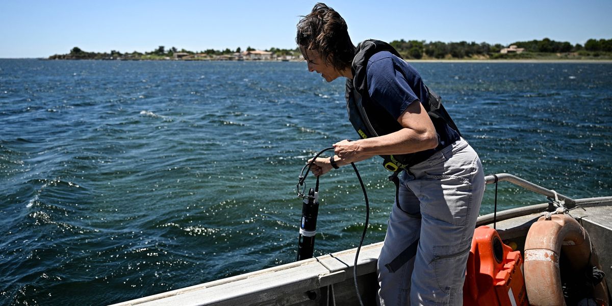 'It Is a Warning': Super El Niño Pushed Ocean Temps to Hottest on Record for July