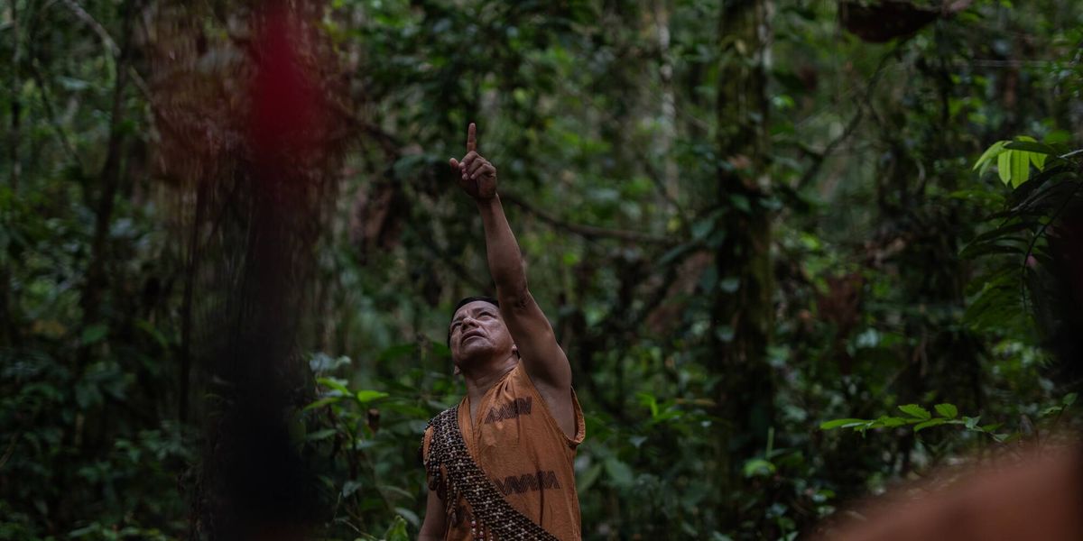 124 Land Defenders Killed in 2025 Amid Trump-Driven Lawlessness and Aid Cuts | Common Dreams