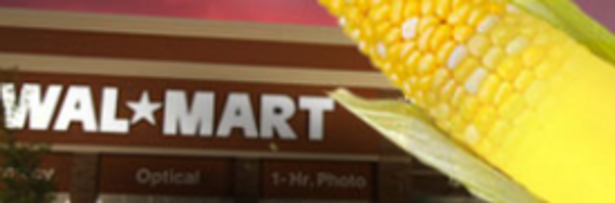 Outcry as Walmart OK's Monsanto GM Corn