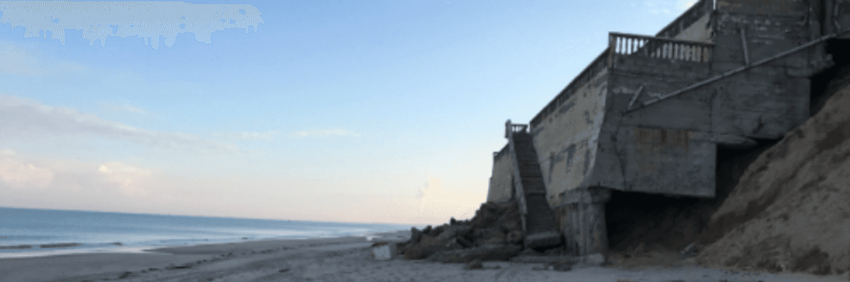 The Palestine Marathon