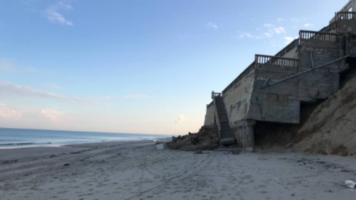 The Palestine Marathon