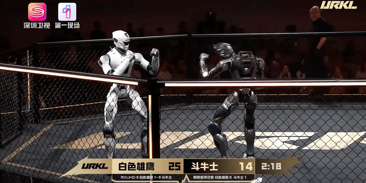 Amid Fears of Killer Robots, Humanoid MMA Fight in China Ends With Decapitation