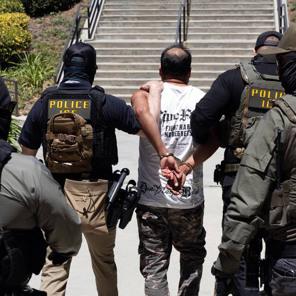 Immigration and Customs Enforcement (ICE) agents