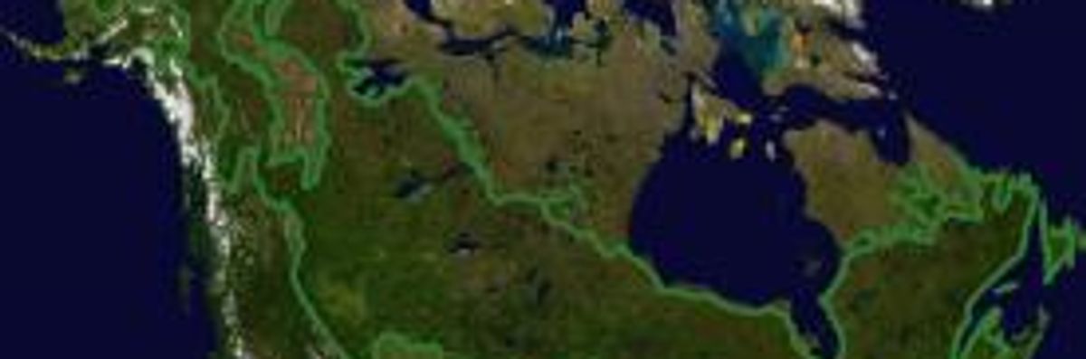 Canada Sets Aside Its Boreal Forest as Giant Carbon Vault