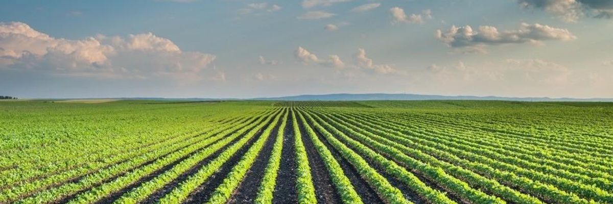 Why Sustainable Agriculture Should Support a Green New Deal