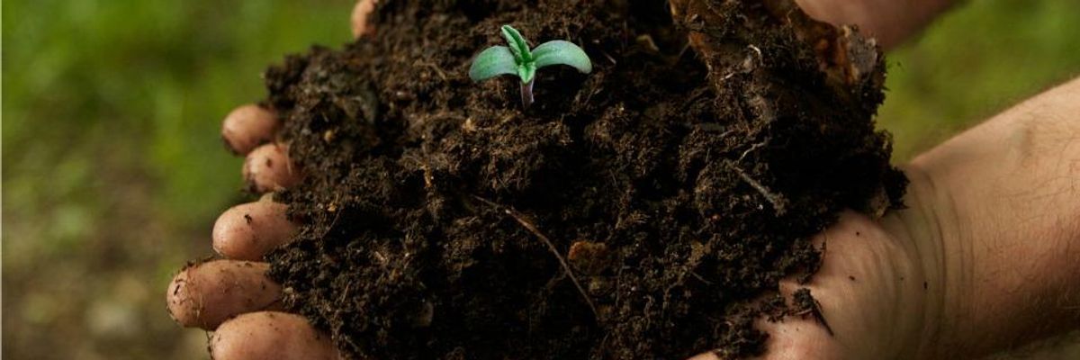 In Living Soil Lies the Solution to Climate Change