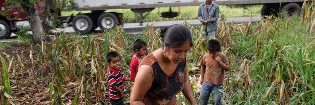 Recognizing the Neoliberal Roots at the Heart of Trump's Cruel and Inhumane Border Policies