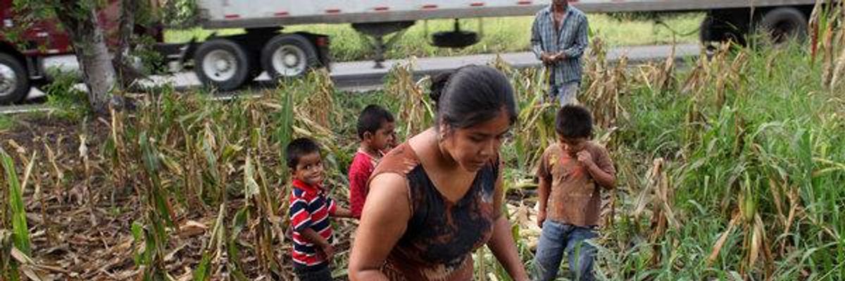 Recognizing the Neoliberal Roots at the Heart of Trump's Cruel and Inhumane Border Policies