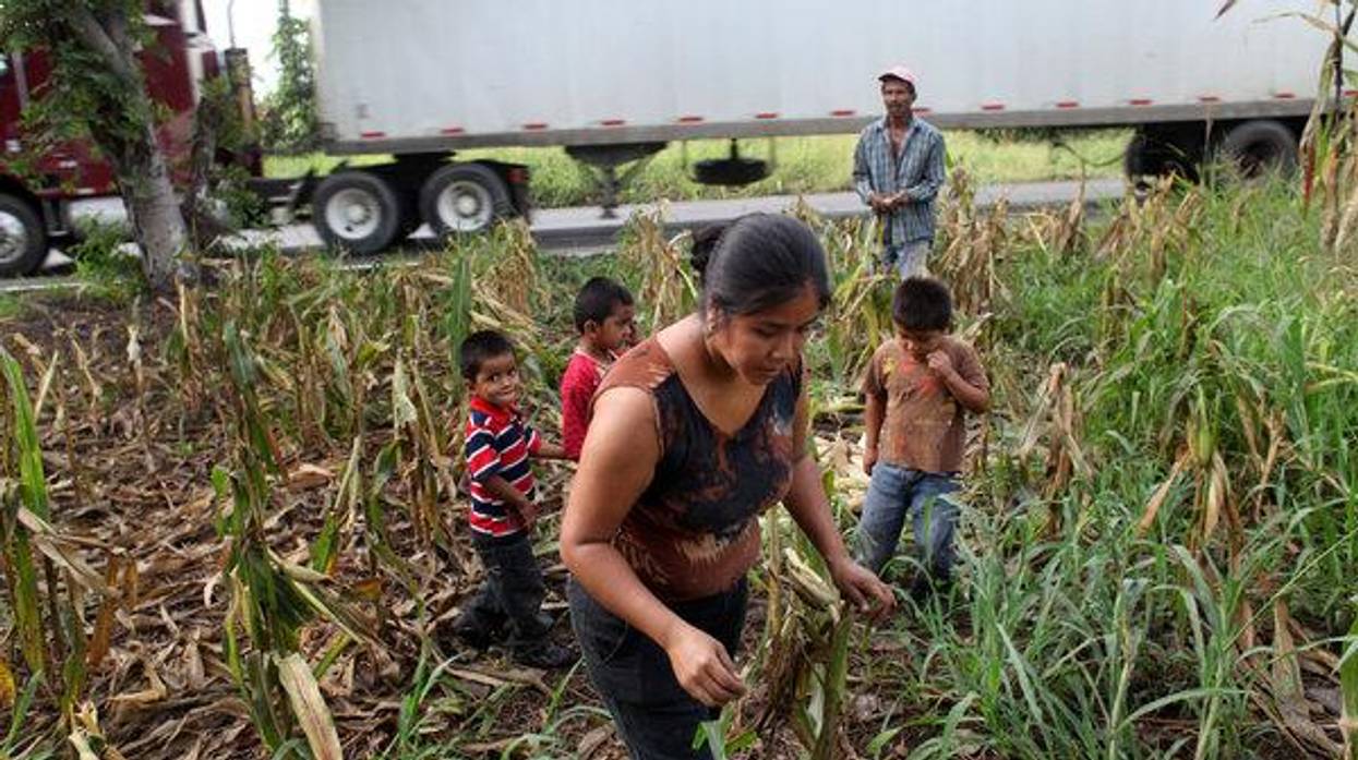 Recognizing the Neoliberal Roots at the Heart of Trump's Cruel and Inhumane Border Policies