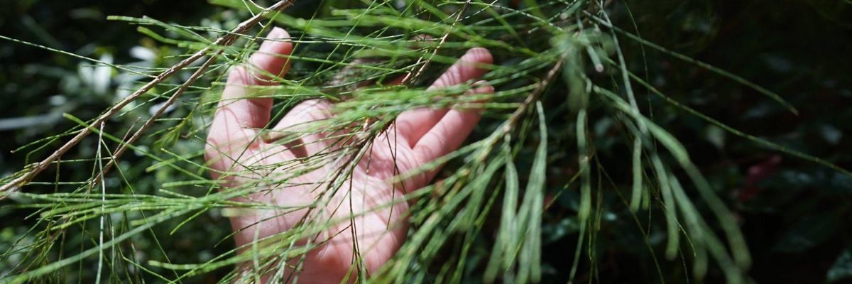 Humility, Caring and Wisdom Make a Better Future Possible