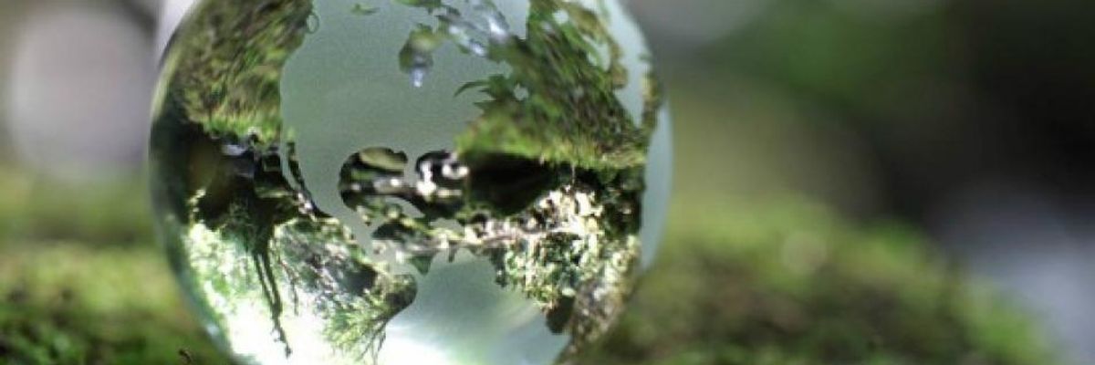 Let's Make 2018 the Year We Rise Up and Regenerate!