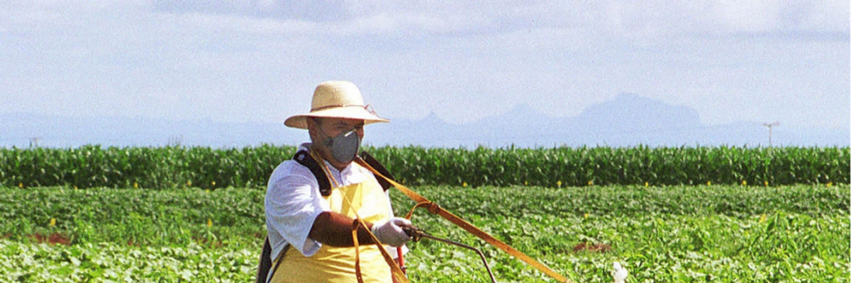 Six Months to Prevent a Hostile Takeover of Food Systems, and 25 Years to Transform Them