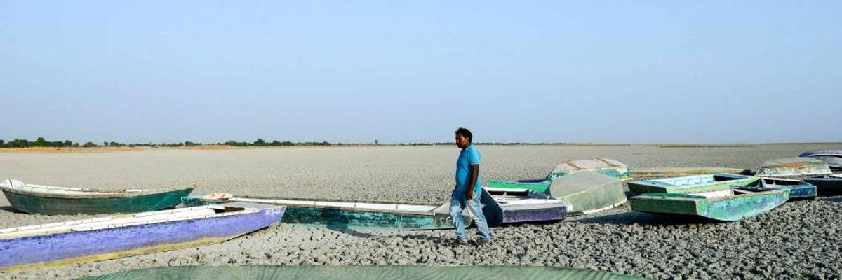 'The New Normal': Ten of Thousands Flee Extreme Heatwave in India as Temperatures Topping 120degF Kill Dozens Across Country