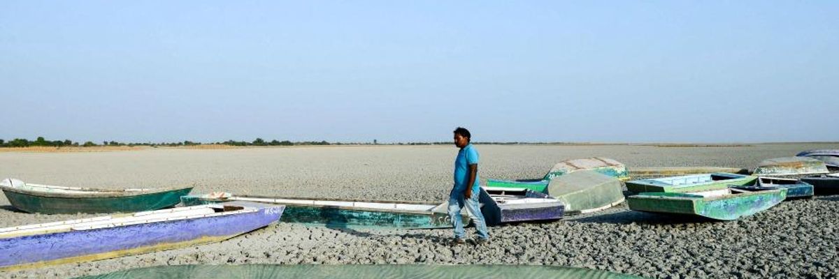 'The New Normal': Ten of Thousands Flee Extreme Heatwave in India as Temperatures Topping 120degF Kill Dozens Across Country